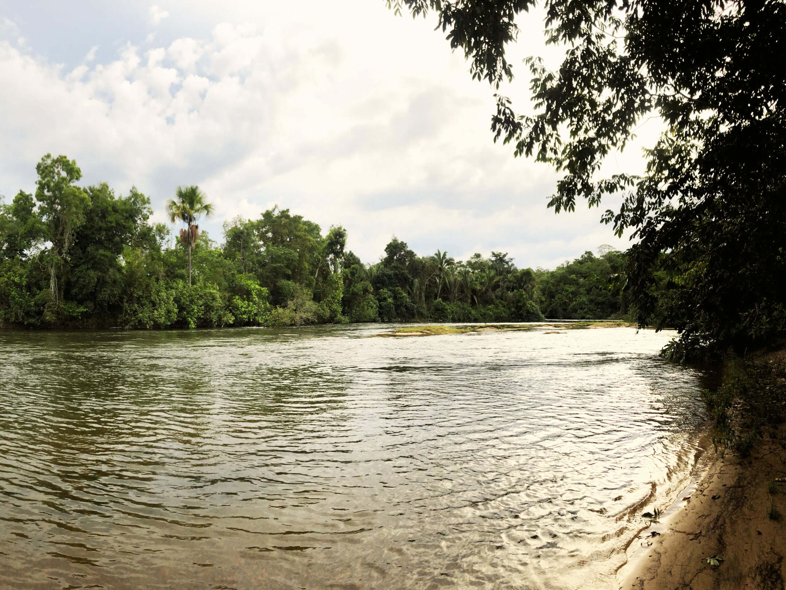 Foto panorâmica de um cenário natural. Na beira do rio, com vegetação densa nas duas margens;