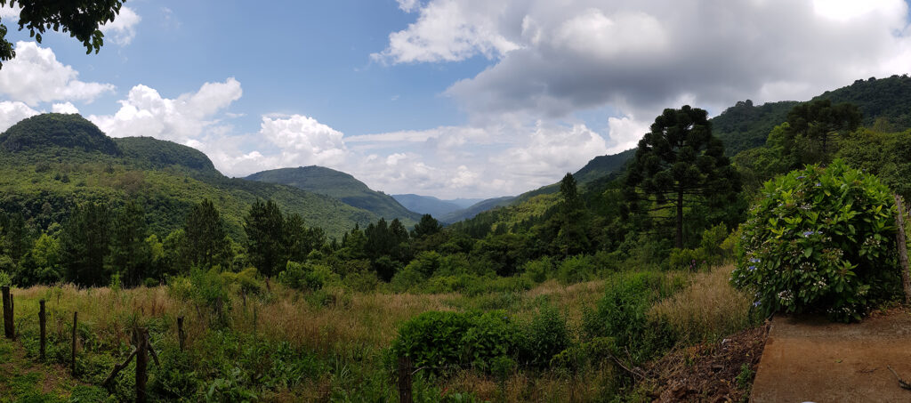 foto de um terreno lugar com bastente vegetação, vegetação alta e baixa, e bastante densa - terreno é um dos fatores impactantes na hora de contratar 